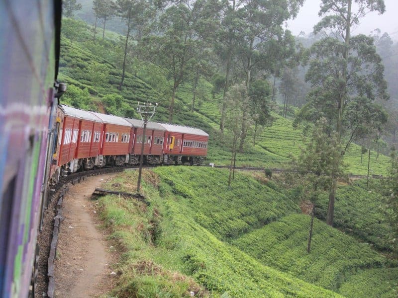 Ella Train Ride