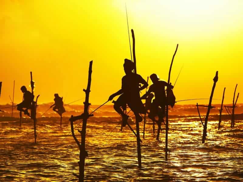 Stilt Fisherman Weligama
