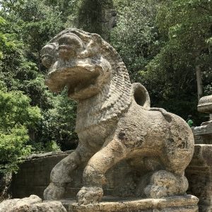 Lion Yapahuwa Kingdom Sri Lanka's Ancient cities