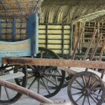 Carriages Koggala Folk Museum