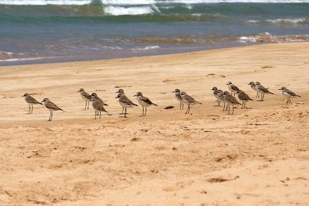Chilaw Sand Spits