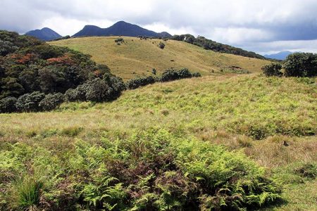 Horton Plains National Park