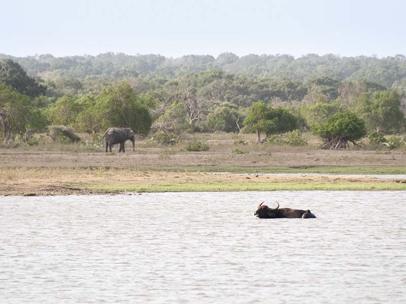 Maduru Oya National Park