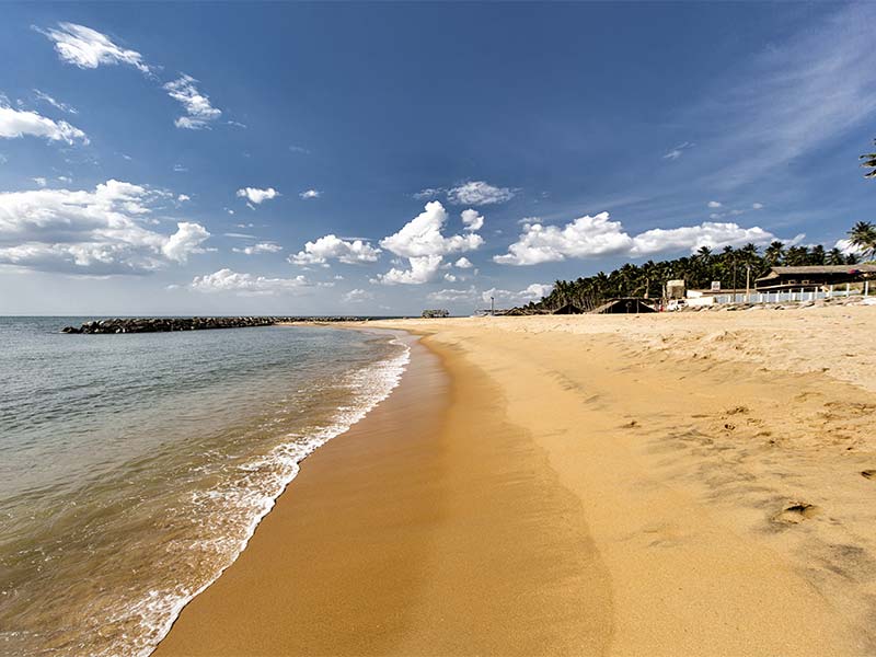 Negombo Beach