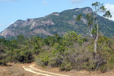 Ritigala Strict Nature Reserve