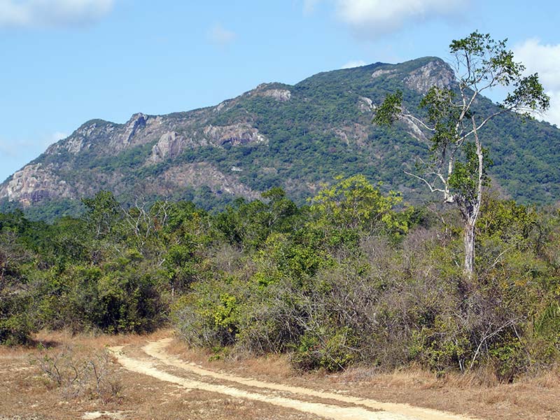 Ritigala Strict Nature Reserve