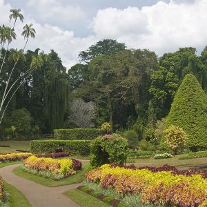 Peradeniya Botanic Gardens