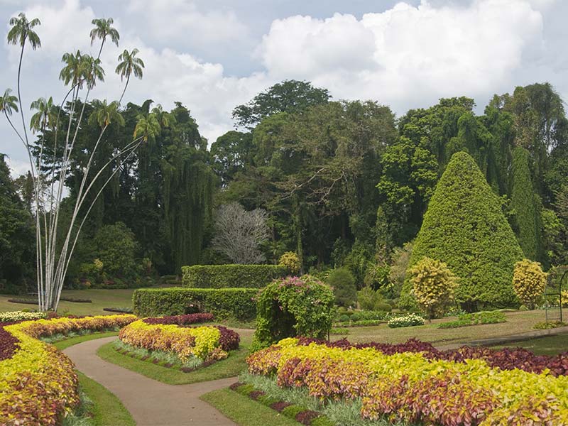 Peradeniya Botanic Gardens
