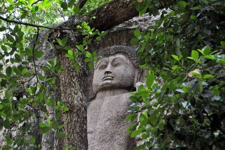 Dowa Cave Temple Ella