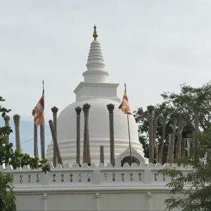 Guided tour of the Anuradhapura Sacred City Thuparama Dagoba
