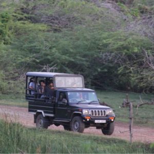 Jeep Safari in Bundala National Park