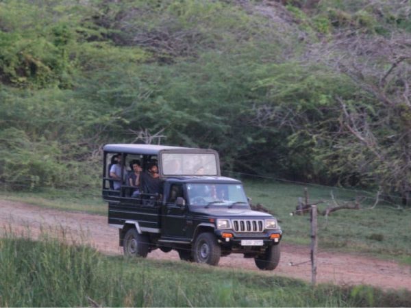 Jeep Safari in Bundala National Park