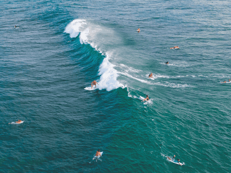 Surfing in Arugam Bay Arugambay