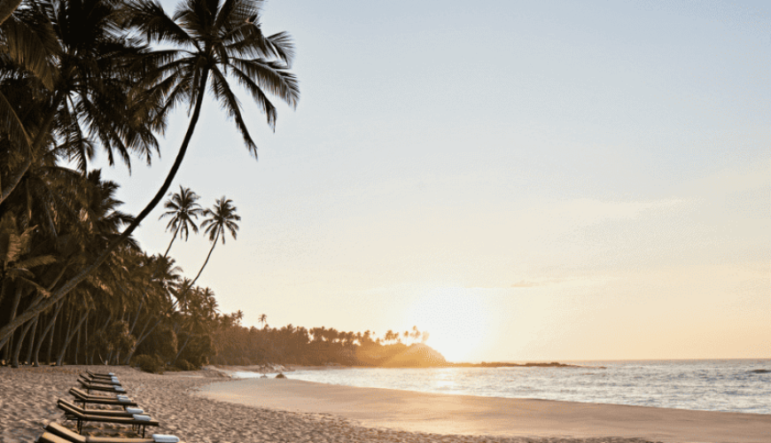 Sun, Sea & Sand: Best Beaches in Sri Lanka